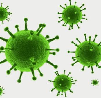 Вирус Эпштейна – Барр  капсидный белок, IgG