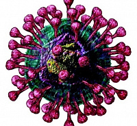 Анализ на определение антител к коронавирусу.